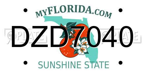 DZD7040 Florida License Plate