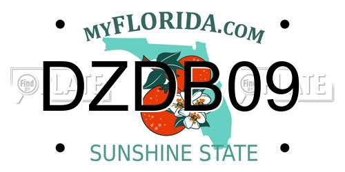 DZDB09 Florida License Plate