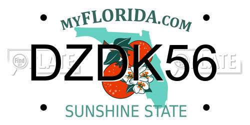 DZDK56 Florida License Plate