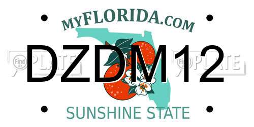 DZDM12 Florida License Plate