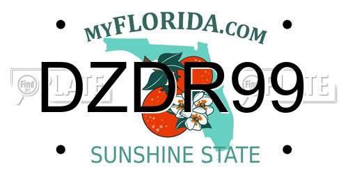 DZDR99 Florida License Plate