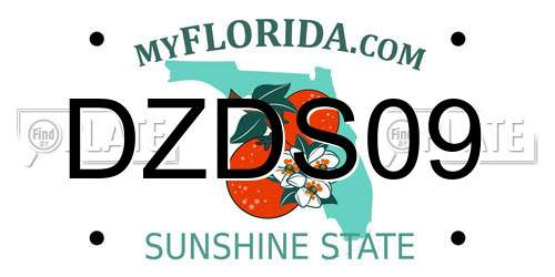 DZDS09 Florida License Plate
