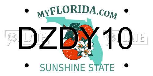 DZDY10 Florida License Plate