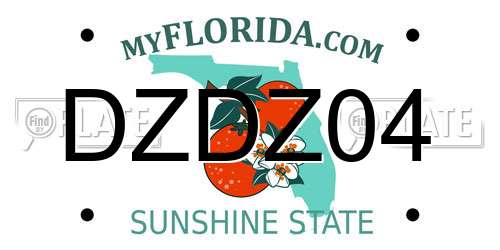 DZDZ04 Florida License Plate