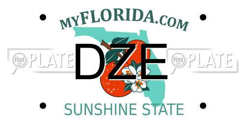 DZE Florida License Plate