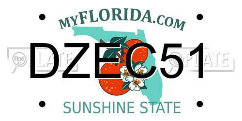 DZEC51 Florida License Plate