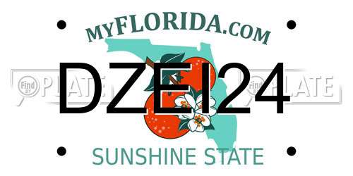 DZEI24 Florida License Plate