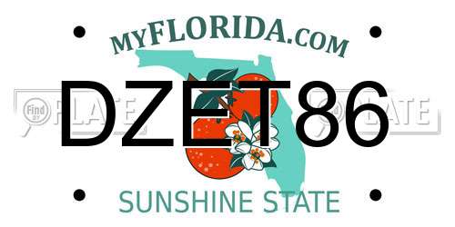 DZET86 Florida License Plate