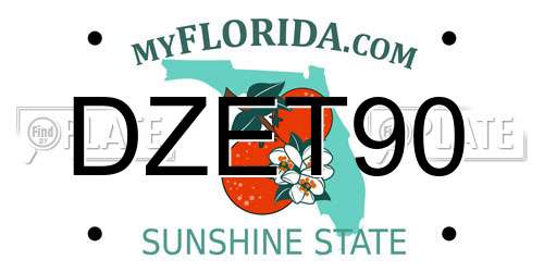 DZET90 Florida License Plate