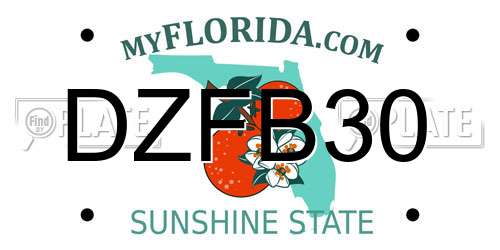 DZFB30 Florida License Plate