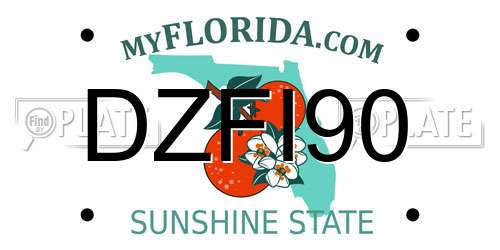 DZFI90 Florida License Plate
