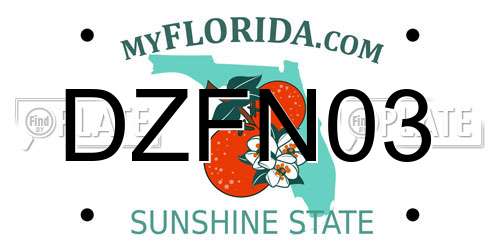 DZFN03 Florida License Plate