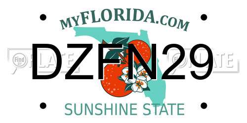 DZFN29 Florida License Plate