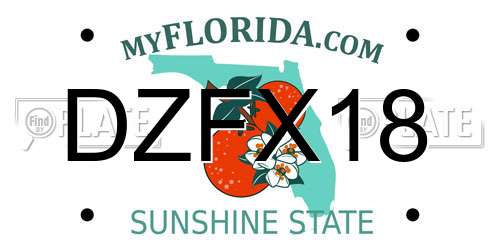 DZFX18 Florida License Plate