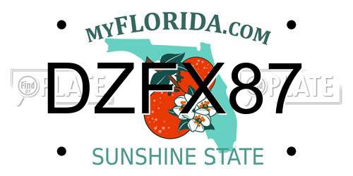 DZFX87 Florida License Plate