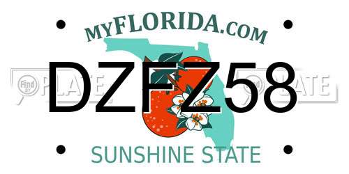 DZFZ58 Florida License Plate