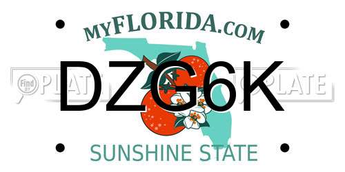 DZG6K Florida License Plate