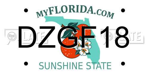 DZGF18 Florida License Plate