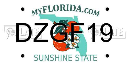 DZGF19 Florida License Plate