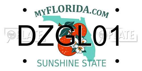 DZGL01 Florida License Plate