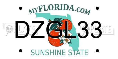 DZGL33 Florida License Plate
