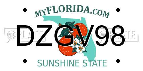DZGV98 Florida License Plate