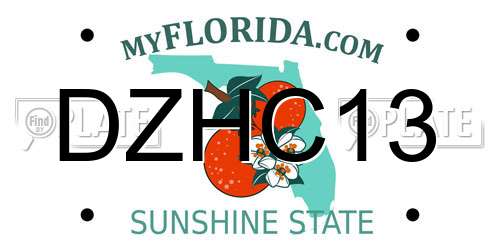 DZHC13 Florida License Plate