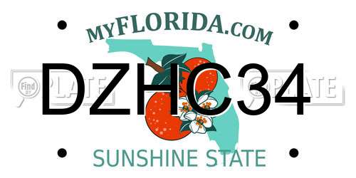 DZHC34 Florida License Plate