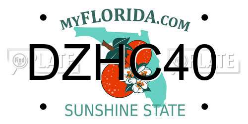 DZHC40 Florida License Plate