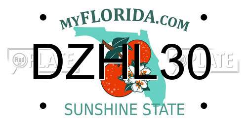 DZHL30 Florida License Plate