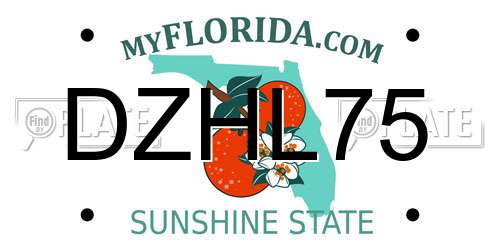DZHL75 Florida License Plate