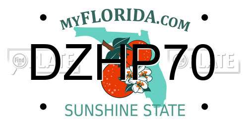 DZHP70 Florida License Plate