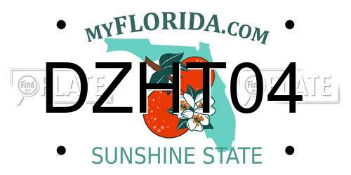 DZHT04 Florida License Plate