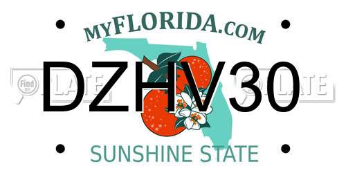 DZHV30 Florida License Plate