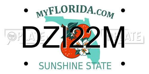DZI22M Florida License Plate