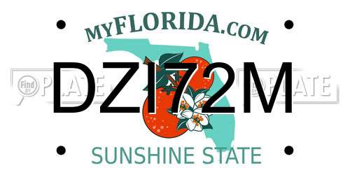 DZI72M Florida License Plate