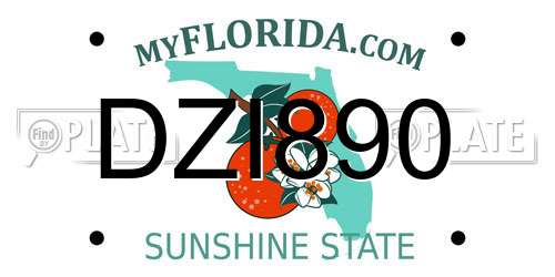 DZI890 Florida License Plate