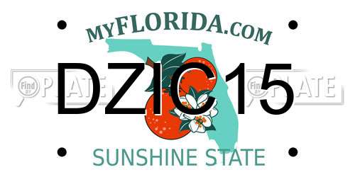 DZIC15 Florida License Plate