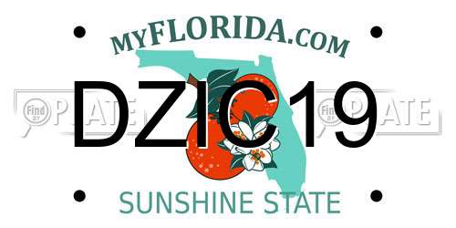 DZIC19 Florida License Plate