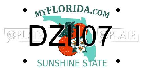 DZII07 Florida License Plate