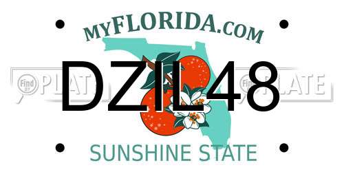 DZIL48 Florida License Plate