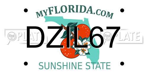 DZIL67 Florida License Plate