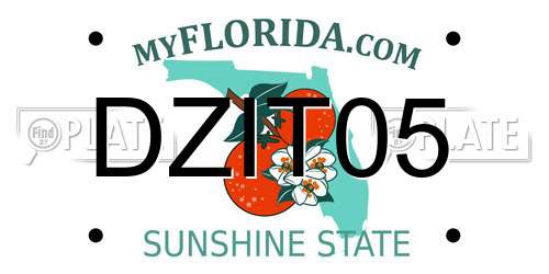 DZIT05 Florida License Plate