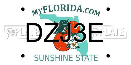 DZJ3E Florida License Plate