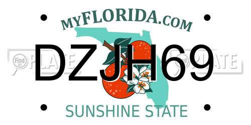 DZJH69 Florida License Plate