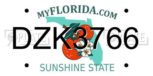DZK3766 Florida License Plate