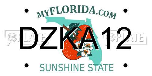 DZKA12 Florida License Plate