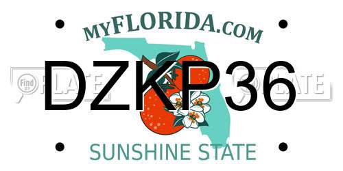 DZKP36 Florida License Plate
