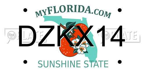 DZKX14 Florida License Plate