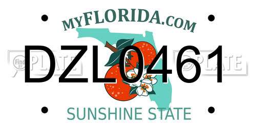 DZL0461 Florida License Plate